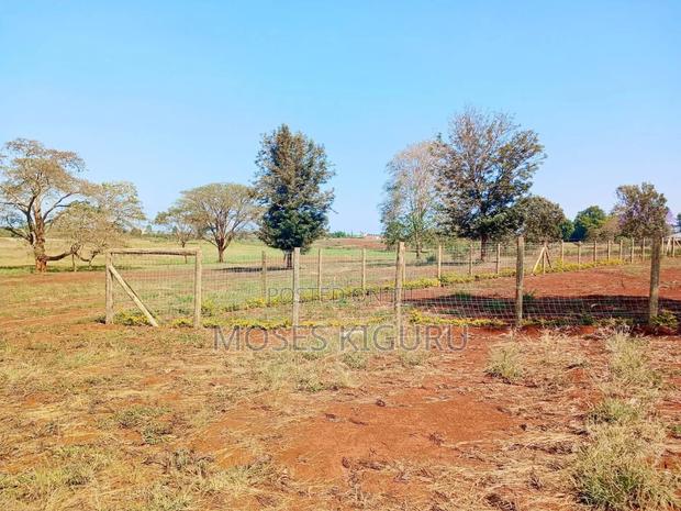 Kenyatta Road 1/4 Residential Plot. - thumbnail 4