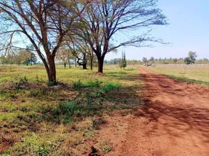 Kenyatta Road 1/4 Residential Plot.