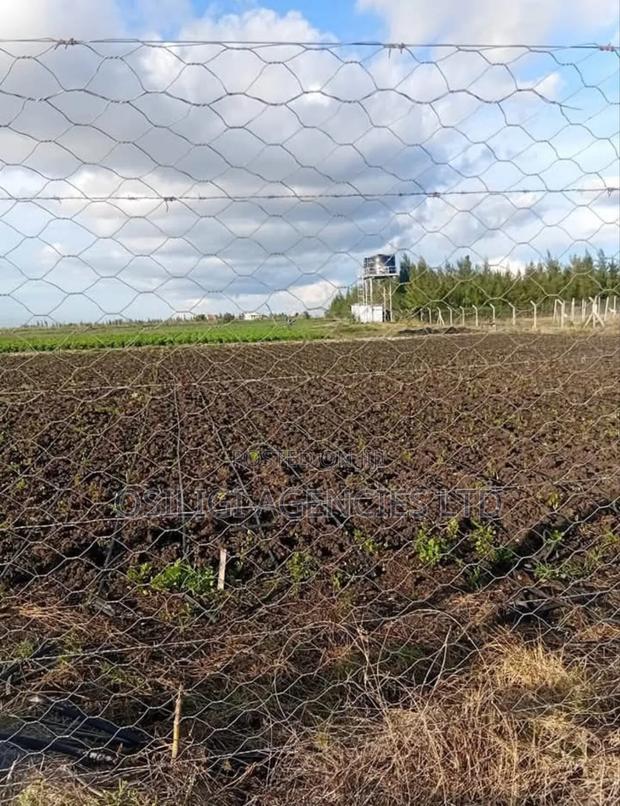 Kitengela 10 Acres for Sale - thumbnail 4