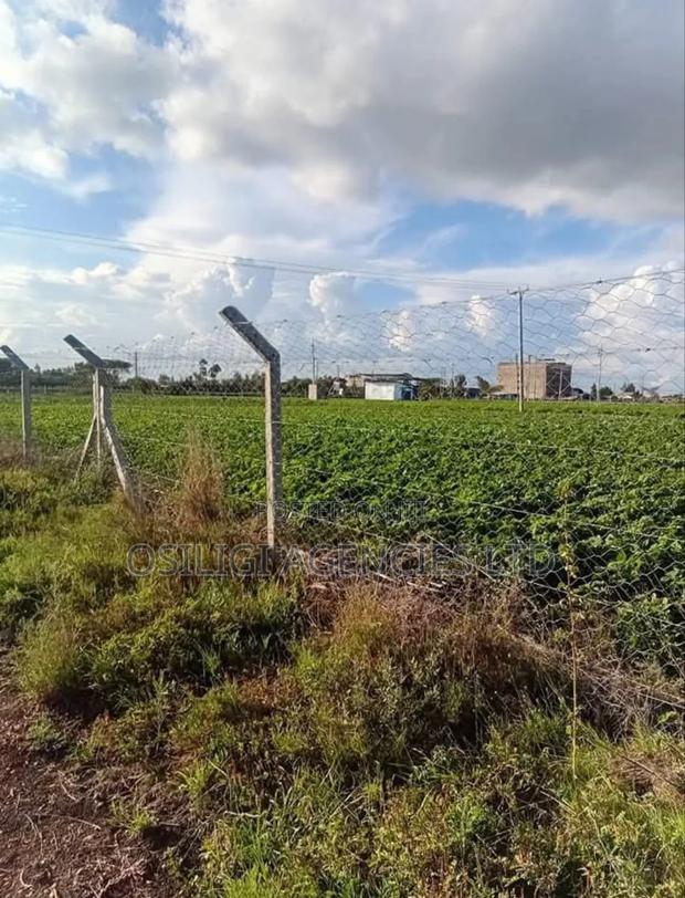 Kitengela 10 Acres for Sale - thumbnail 5