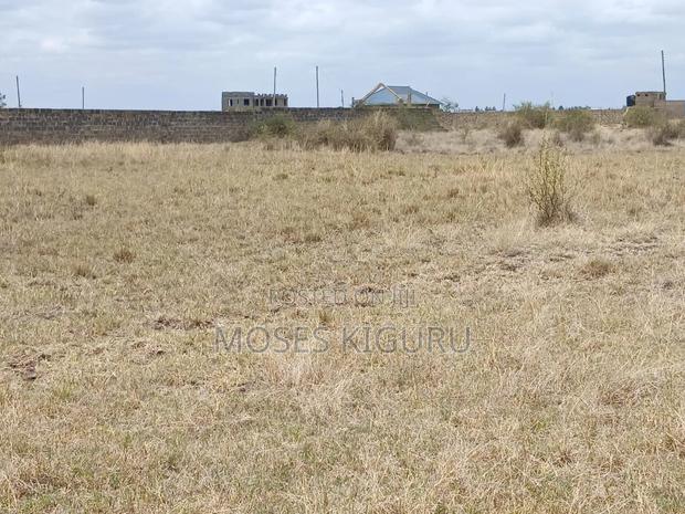 Jujafarm Road 50x100 Plots