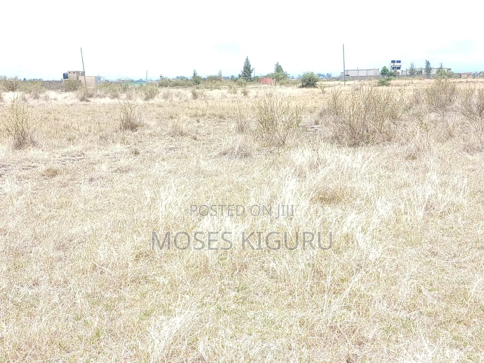 Jujafarm Road 50x100 Plots
