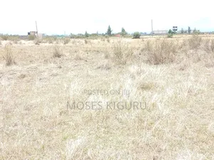 Jujafarm Road 50x100 Plots