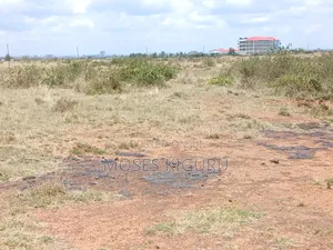 Jujafarm Road 50x100 Plots