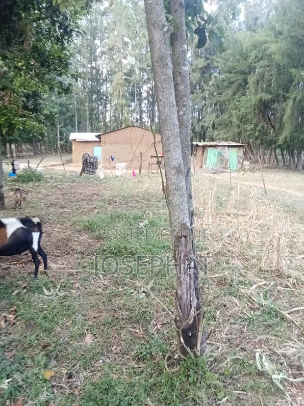 3 Acres Prime Agricultural Land