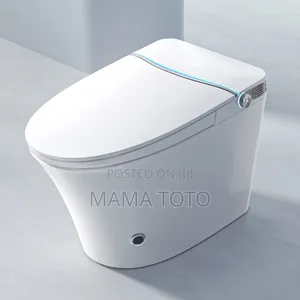 Magic Toilet
