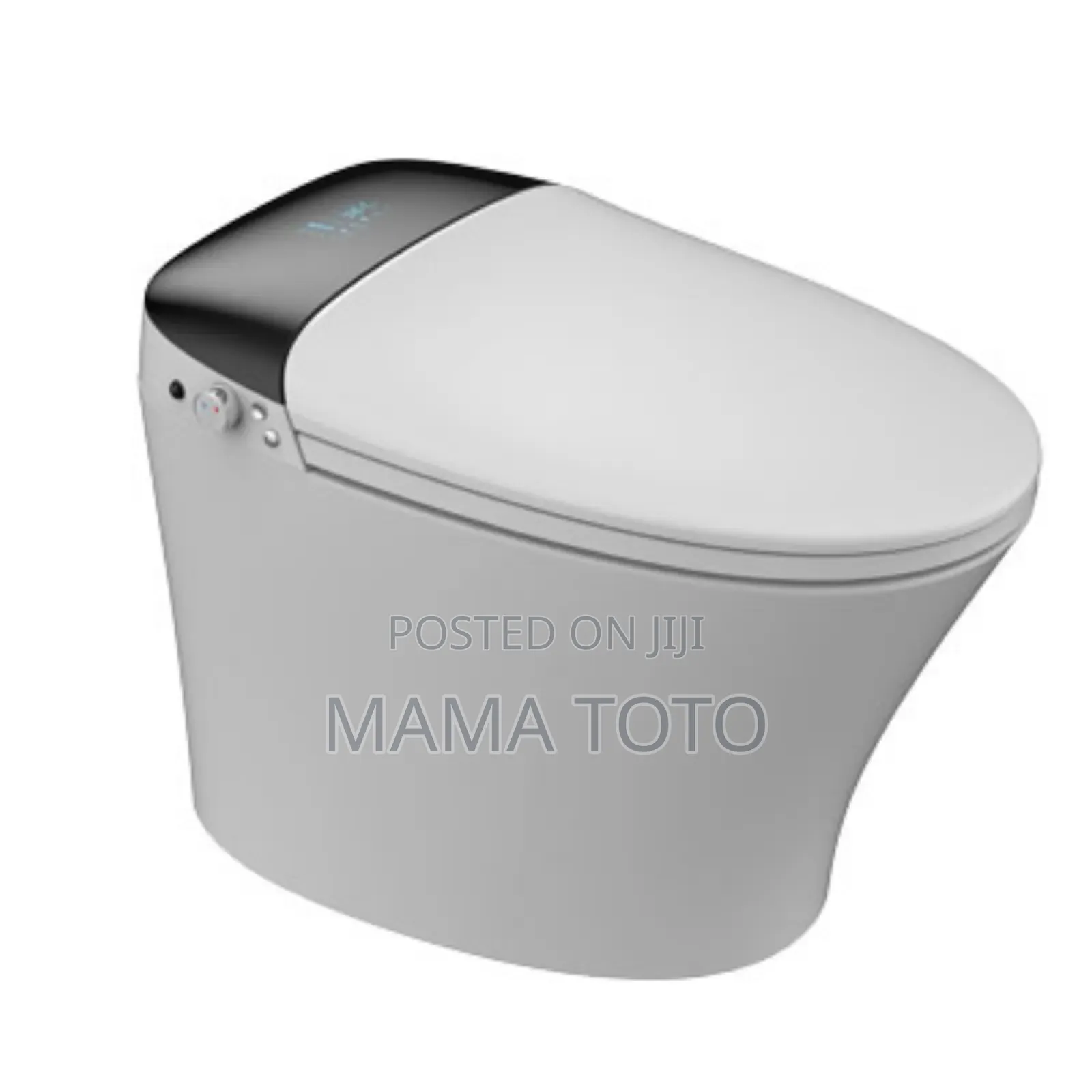 Magic Toilet
