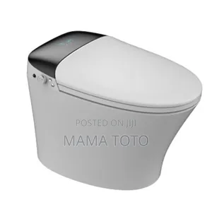Magic Toilet