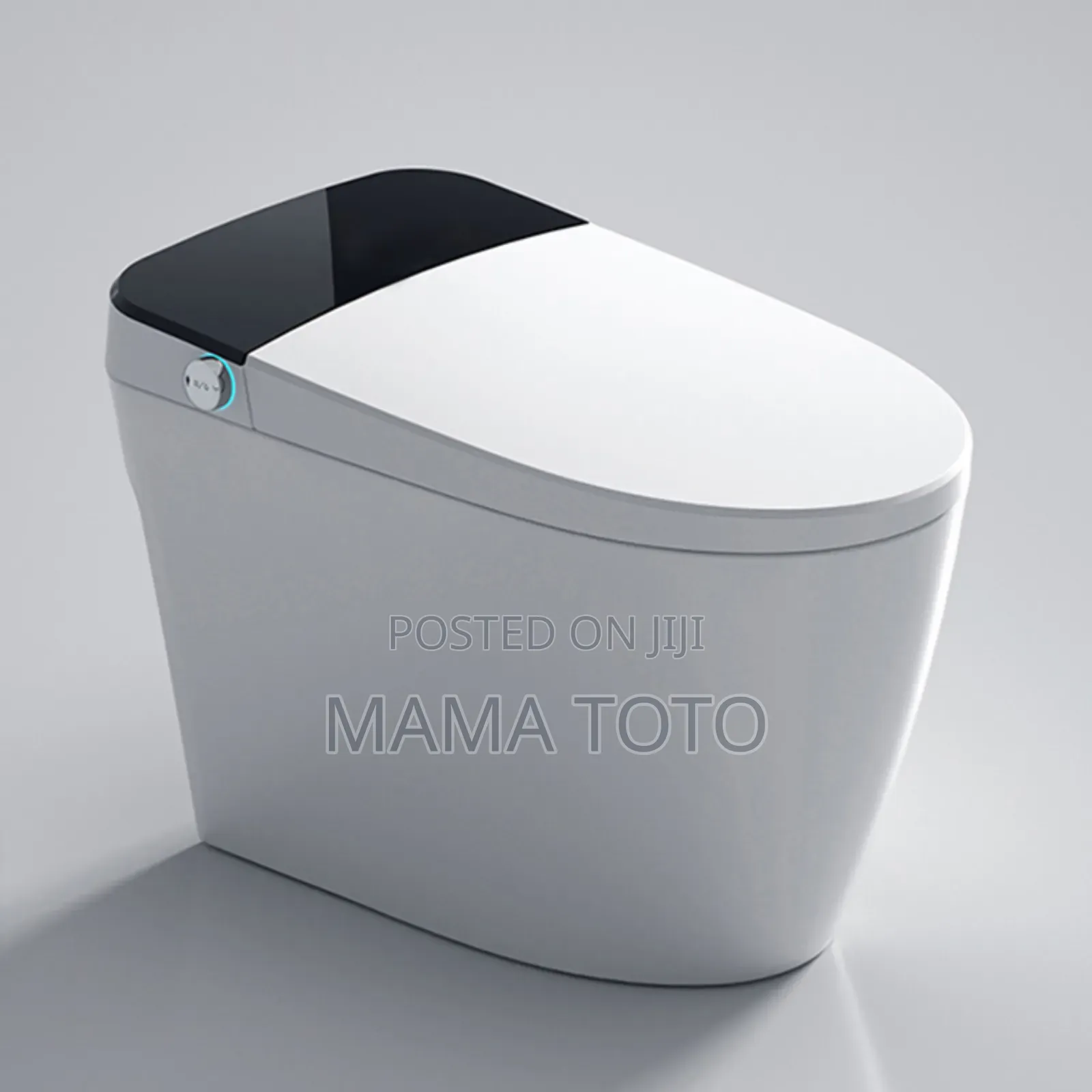 Magic Toilet