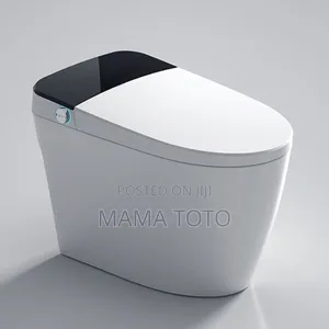 Magic Toilet