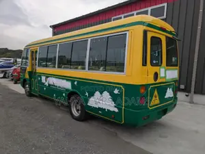 Mitsubishi Fuso Rosa 2019 Yellow