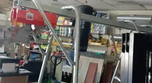 Quality Hoist Machine 1 Tone