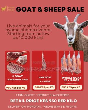 Goat/Sheep Meat For Sale - main view