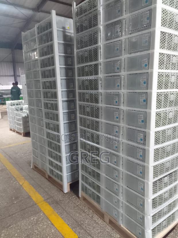 Ripe Hass Avocados - thumbnail 4