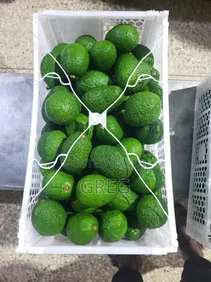Ripe Hass Avocados