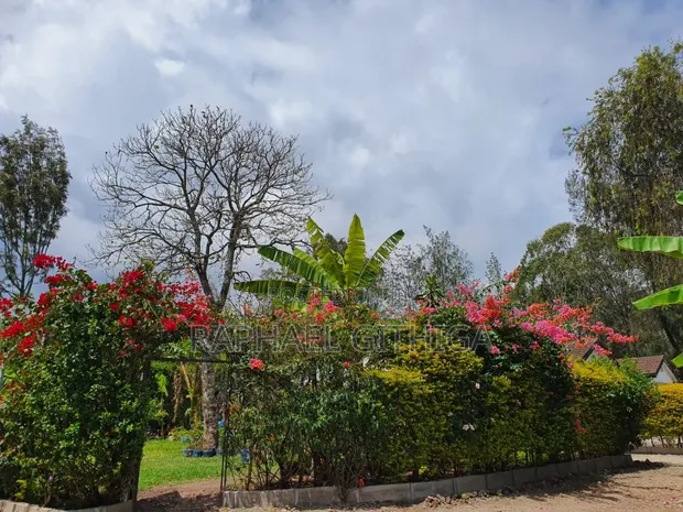 3bdrm Bungalow in Karen, Nairobi Central for rent