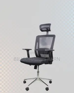 Premium Mesh Executive Seat | Ideal for Home Office
