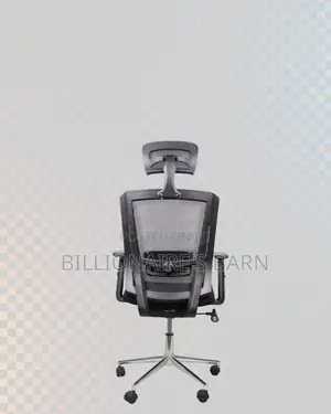 Premium Mesh Executive Seat | Ideal for Home Office