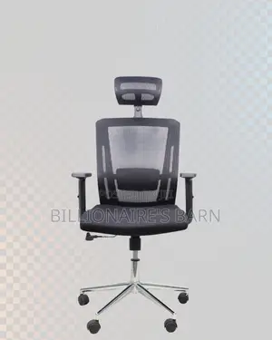 Premium Mesh Executive Seat | Ideal for Home Office
