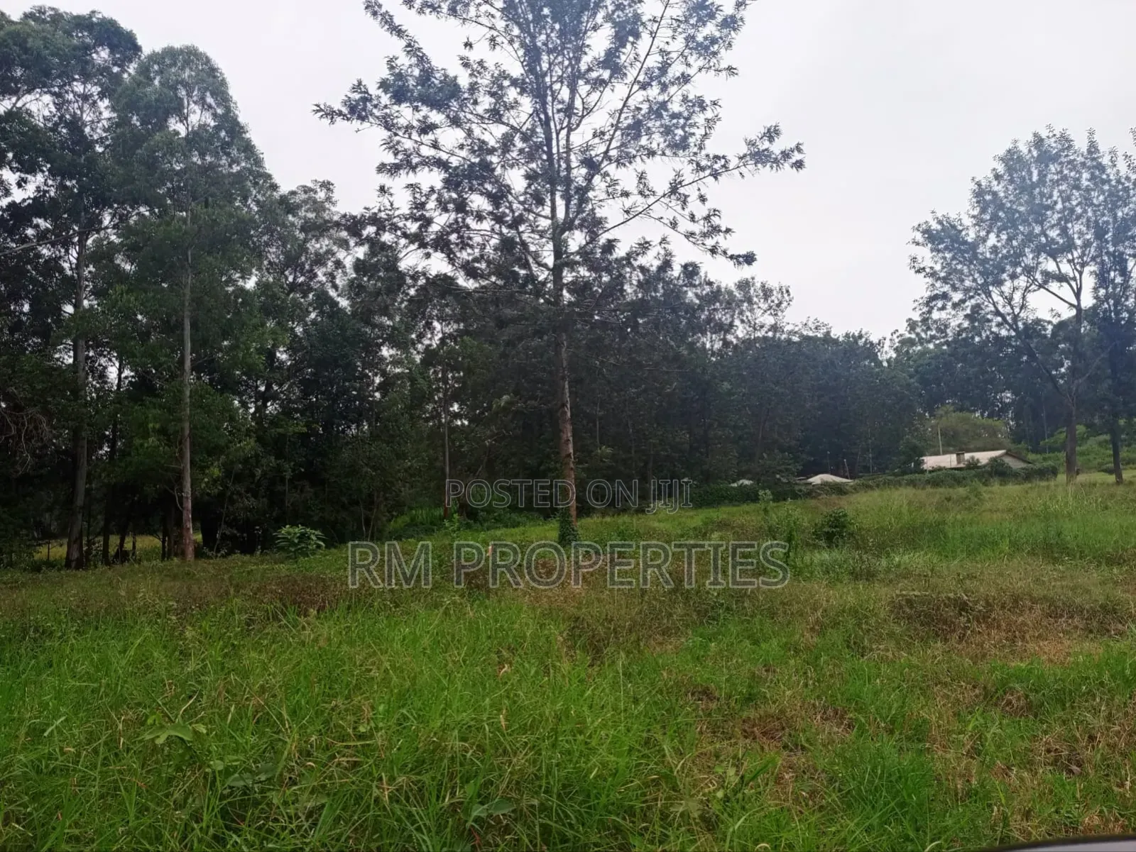 Juja Gardens to Sell