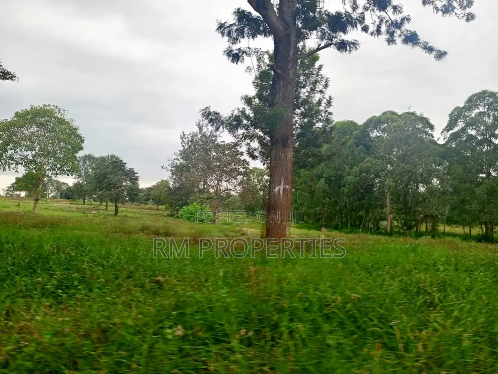 Juja Gardens to Sell