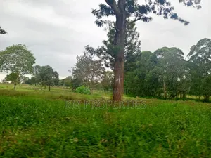 Juja Gardens to Sell