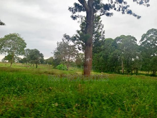 Juja Gardens to Sell - thumbnail 2