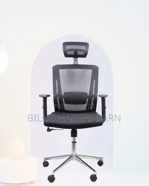 Ergonomic Mesh Chair With Headrest | Premium Look, Daily Comfort