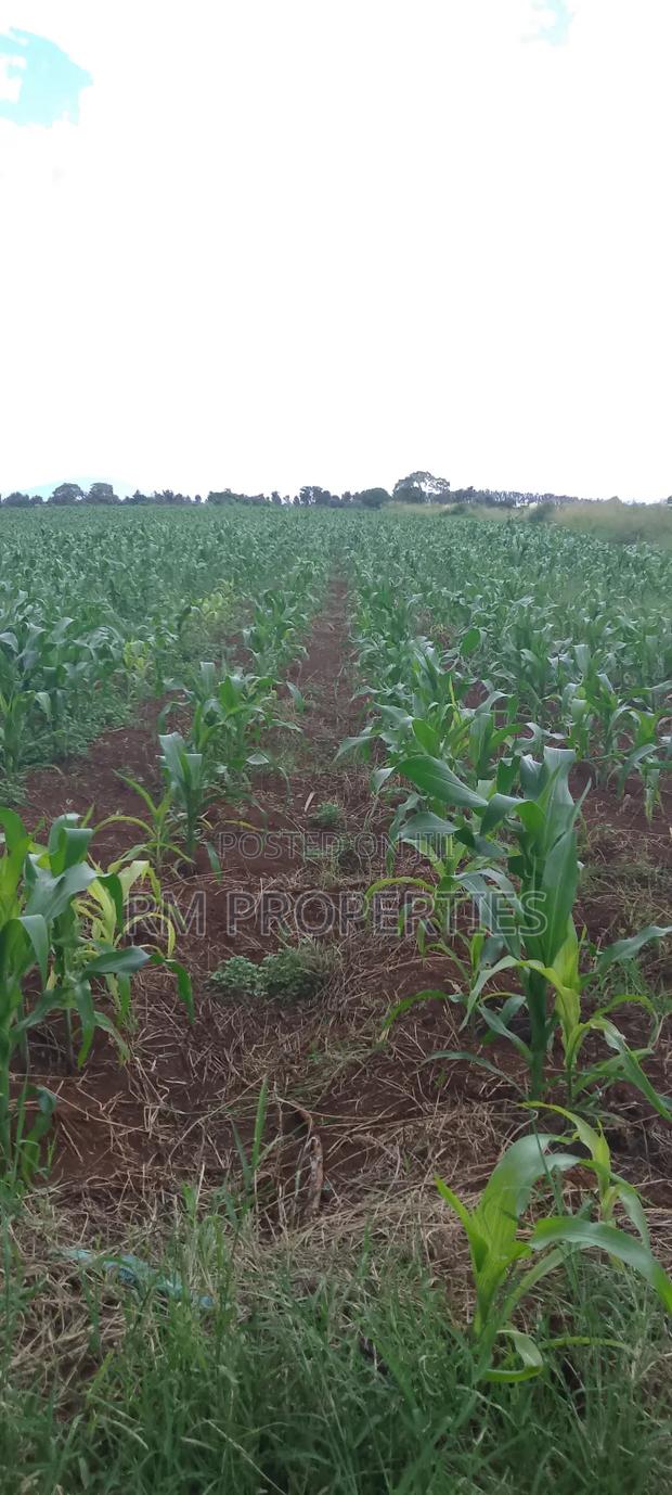 Gatanga Plots for Sale - main view