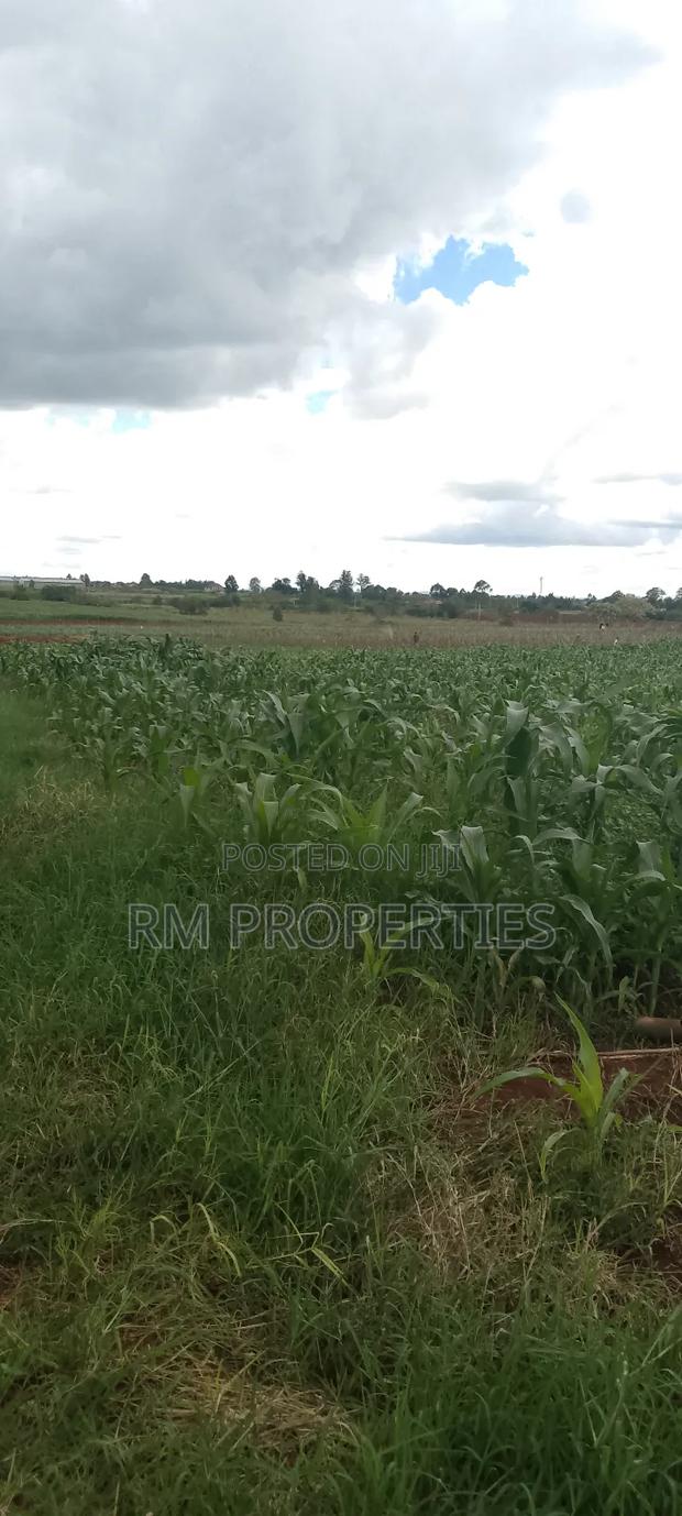 Gatanga Plots for Sale - thumbnail 2