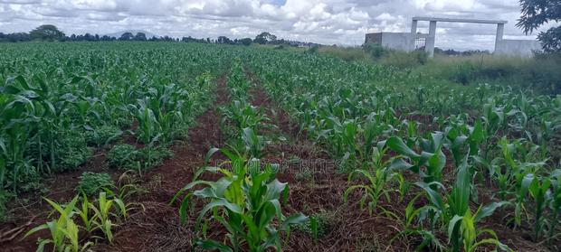 Plots for Sale at Gatanga Road