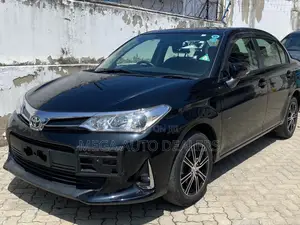 Toyota Axio 2018 Black