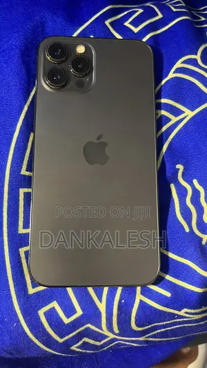 Apple iPhone 12 Pro Max 256 GB Gray