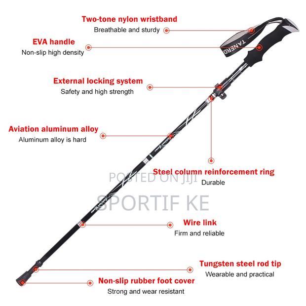 Adjustable Trekking and Hiking Pole - main view