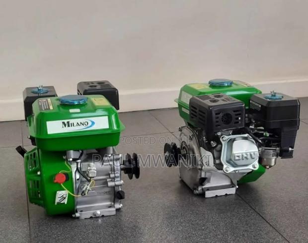 7.5 Hp Milano Petrol Engine - main view