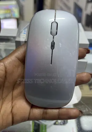 Silver Rechargeable Mouse.