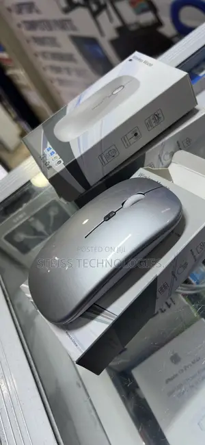 Silver Rechargeable Mouse.