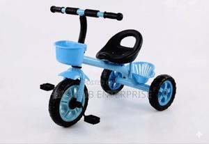 Tricycle Model 306 - main view