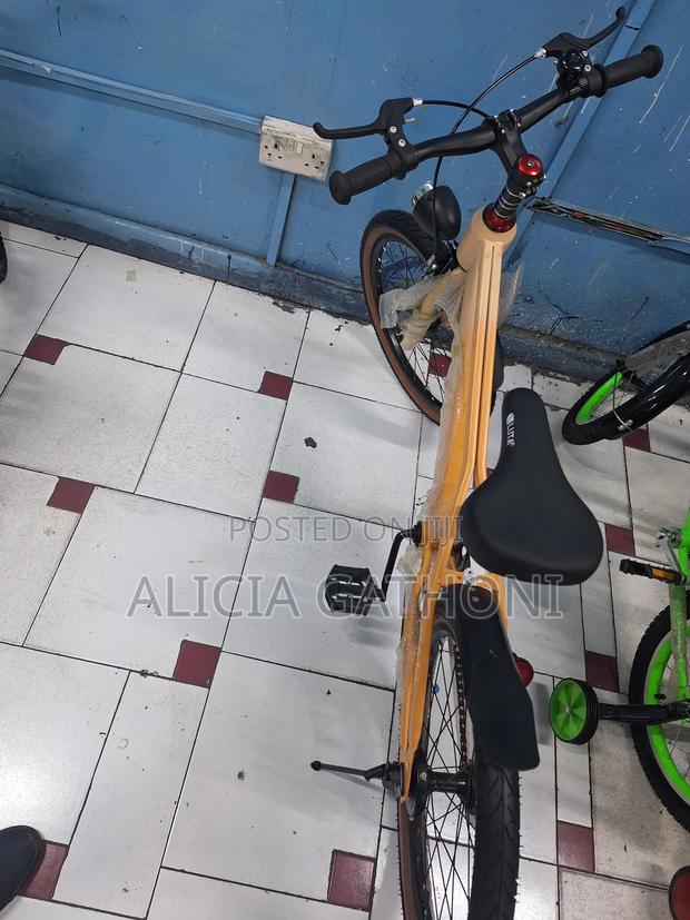 Size 20 BMX Biycle - main view