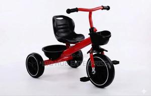 Tricycle Model 328 - main view