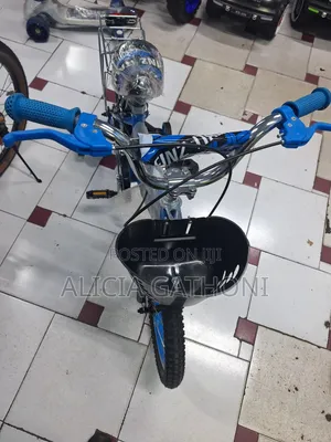 Size 16 Blue Biycle