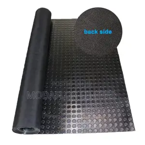 Non-Slip Coin Mat Carpet Alternative