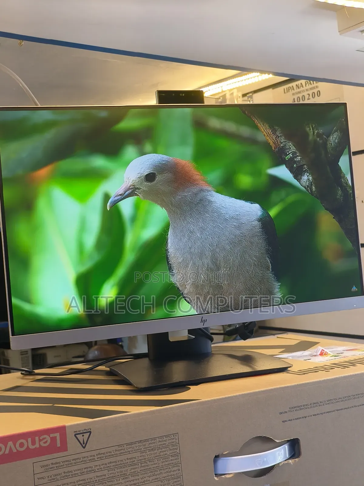 Hp Flameless Monitor E243d