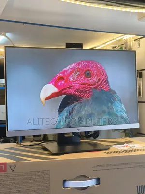 Hp Flameless Monitor E243d