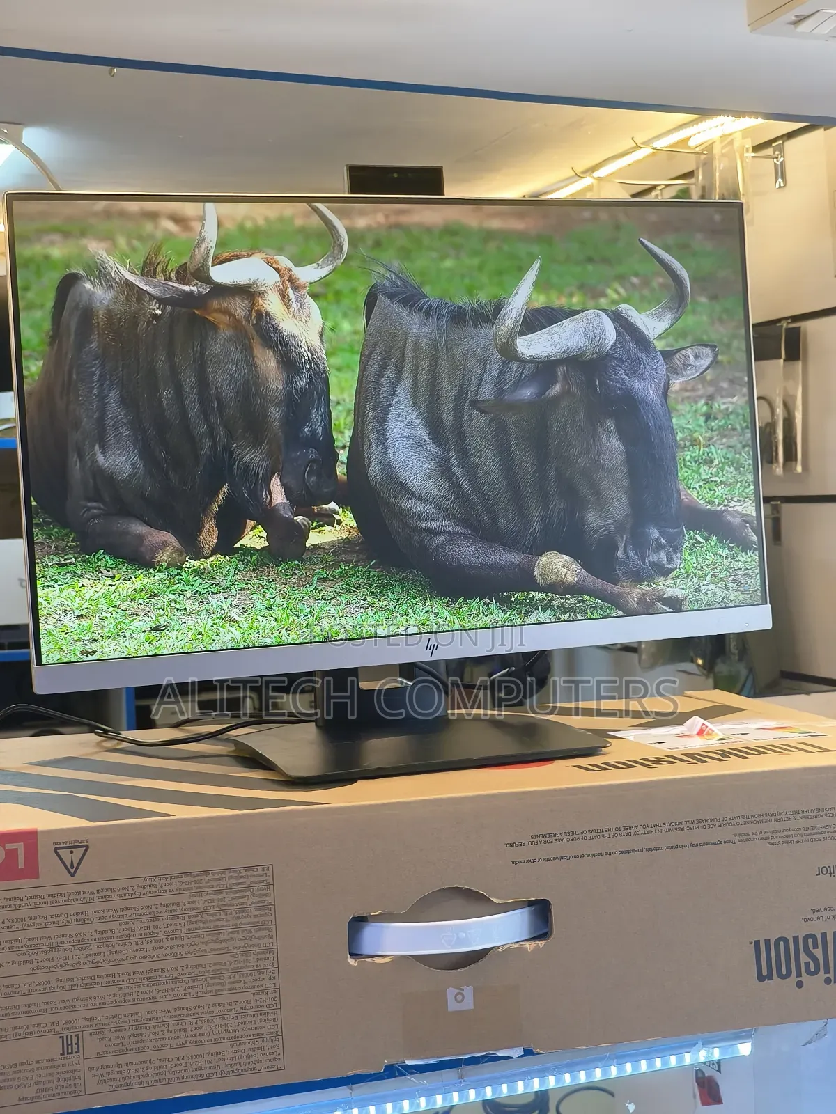 Hp Flameless Monitor E243d