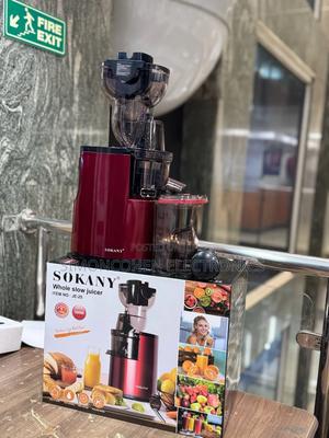 Sokany Slow Juicer - main view
