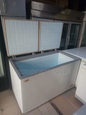 Double Door Freezer