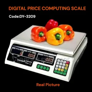 * Digital Price Computing Scale