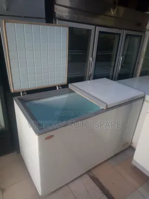 2 Door Deep Freezer