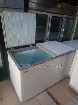 2 Door Deep Freezer